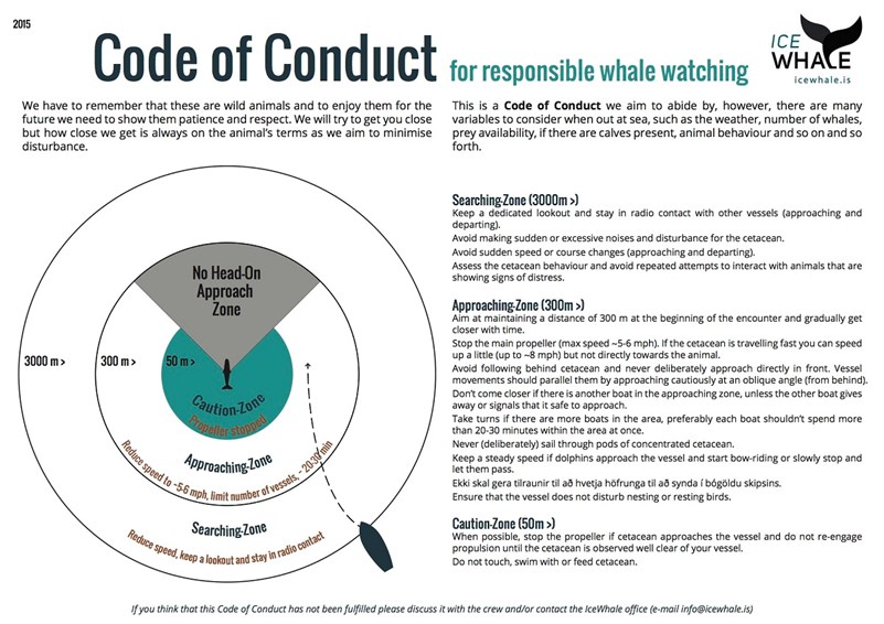 Code of conduct for responsible whale watching