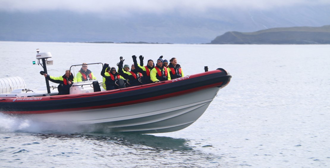 Rhib boat for whale watching