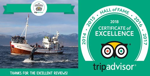 Tripadvisor Certificate Arctic Sea Tours