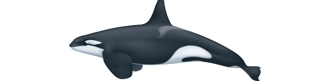 Orca orcinus